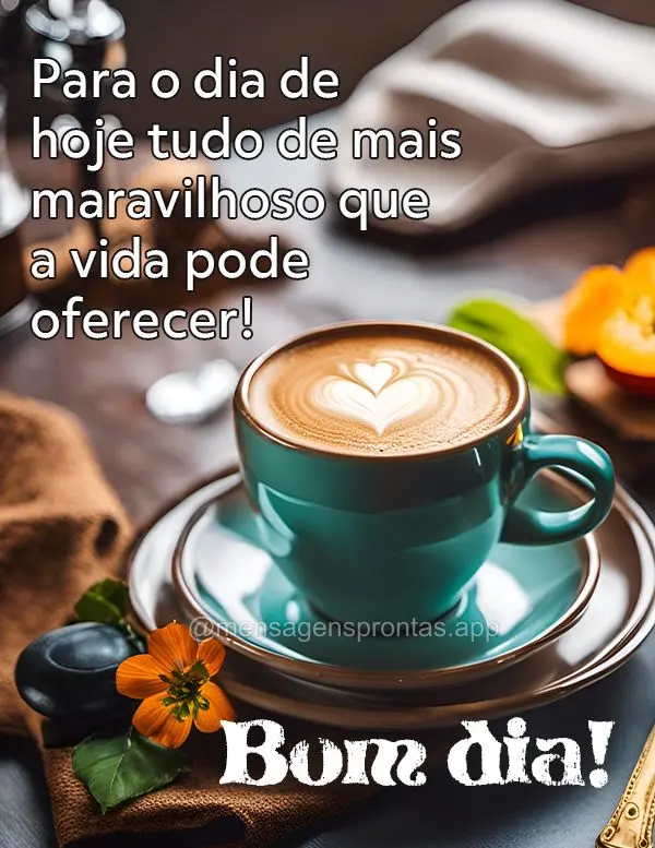 Para o dia de hoje tudo de mais maravilhoso que a vida pode oferecer! Bom dia! 