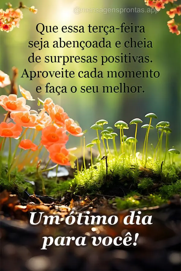 Que essa terça-feira seja abençoada e cheia de surpresas positivas. Aproveite cada momento e faça o seu melhor. Um ótimo dia para você!
