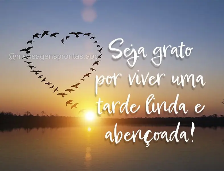 Seja grato por viver uma tarde linda e abençoada!