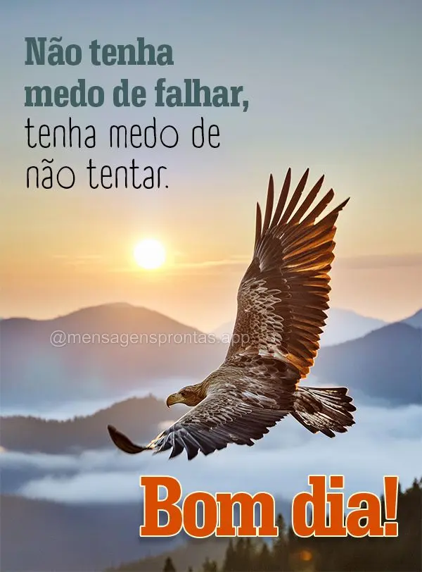 Não tenha medo de falhar, tenha medo de não tentar. Bom dia!