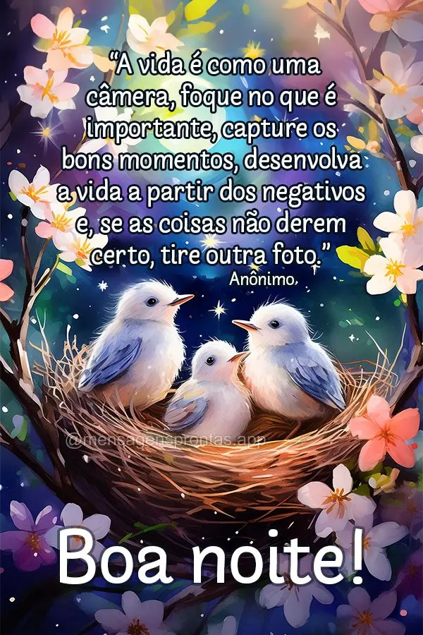  "A vida é como uma câmera, foque no que é importante, capture os bons momentos, desenvolva a vida a partir dos negativos e, se as coisas não derem c...