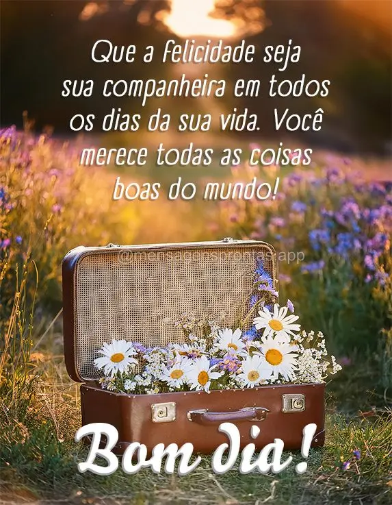 Que a felicidade seja sua companheira em todos os dias da sua vida. Você merece todas as coisas boas do mundo! Bom dia!