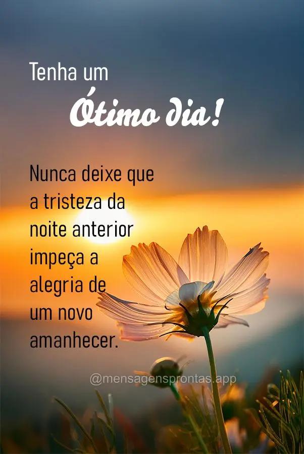 Nunca deixe que a tristeza da noite anterior impeça a alegria de um novo amanhecer. Tenha um ótimo dia!