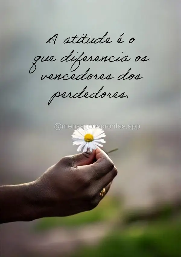 A atitude é o que diferencia os vencedores dos perdedores.