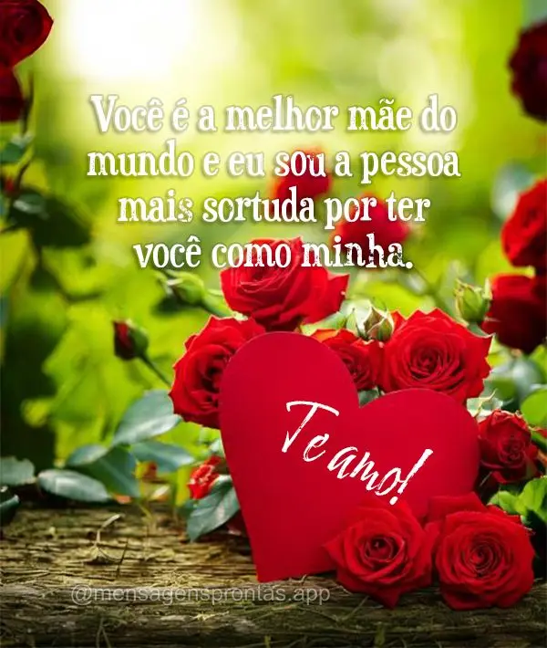 Você é a melhor mãe do mundo e eu sou a pessoa mais sortuda por ter você como minha. Te amo!