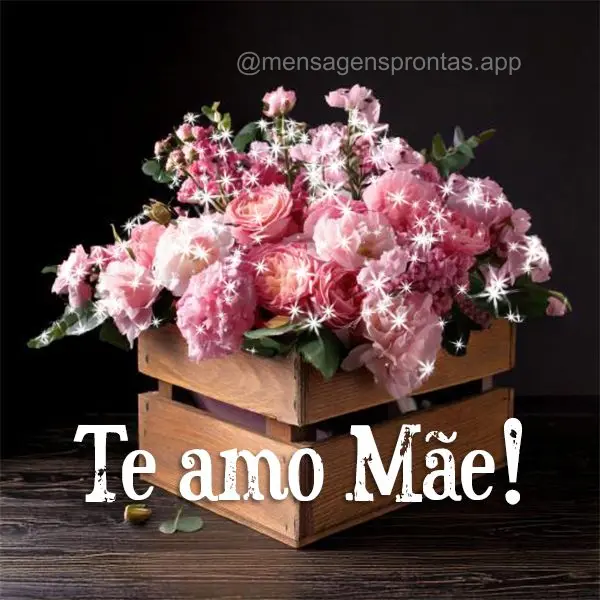 Te Amo Mãe!