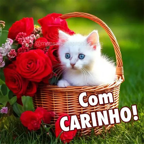 Com carinho!