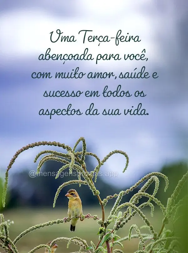 Uma terça-feira abençoada para você, com muito amor, saúde e sucesso em todos os aspectos da sua vida."