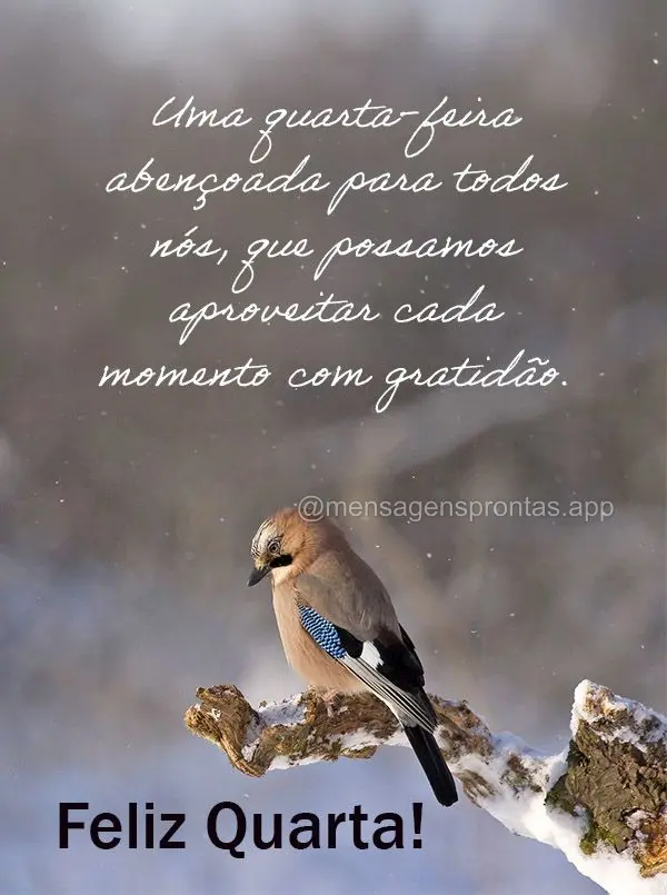 Uma quarta-feira abençoada para todos nós, que possamos aproveitar cada momento com gratidão. Feliz Quarta! 