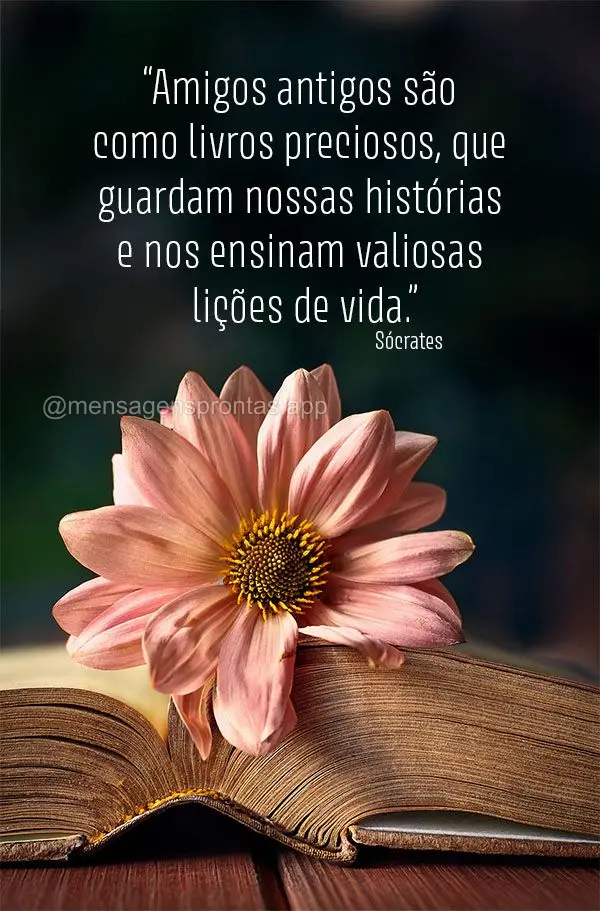"Amigos antigos são como livros preciosos, que guardam nossas histórias e nos ensinam valiosas lições de vida." Sócrates