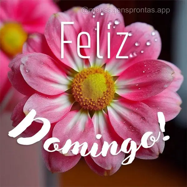 Feliz Domingo!