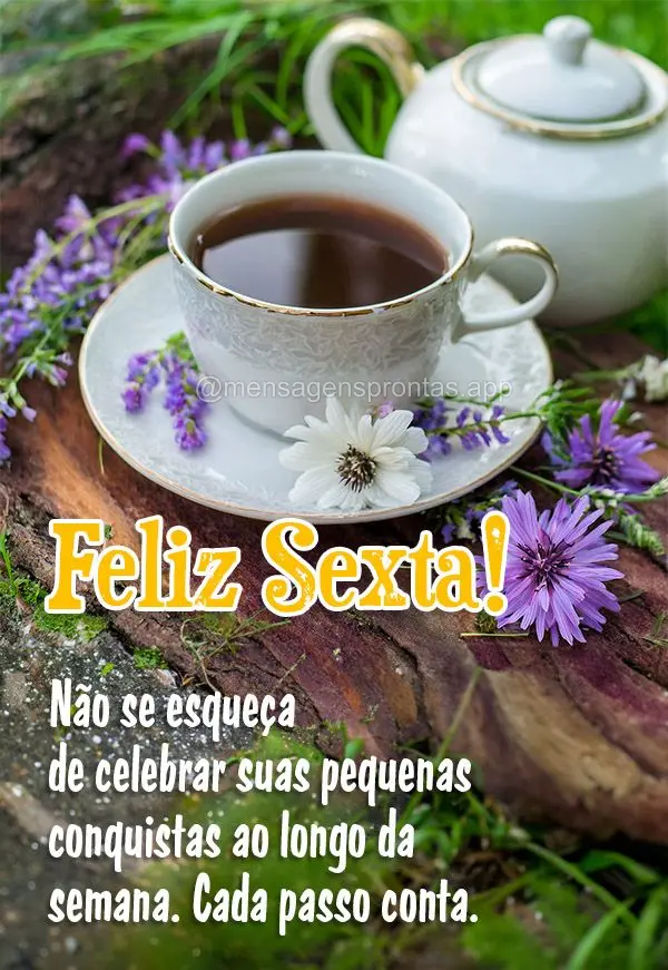 Não se esqueça de celebrar suas pequenas conquistas ao longo da semana. Cada passo conta. Feliz Sexta!