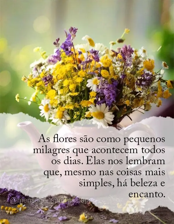 As flores são como pequenos milagres que acontecem todos os dias. Elas nos lembram que, mesmo nas coisas mais simples, há beleza e encanto.