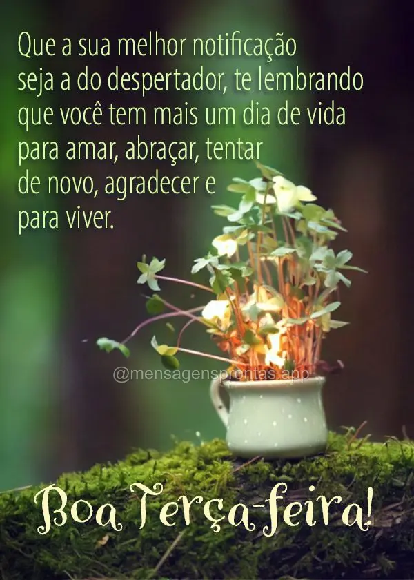 Que a sua melhor notificação seja a do despertador, te lembrando que você tem mais um dia de vida para amar, abraçar, tentar de novo, agradecer e par...