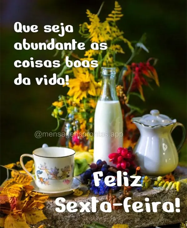 Que seja abundante as coisas boas da vida! Feliz Sexta-feira!