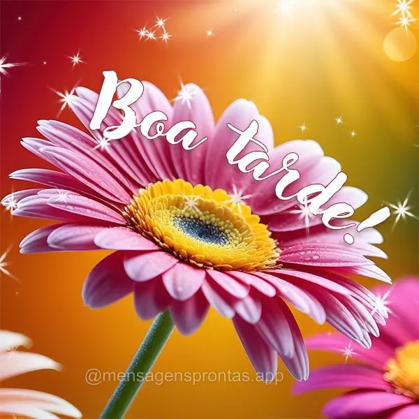 Boa tarde!