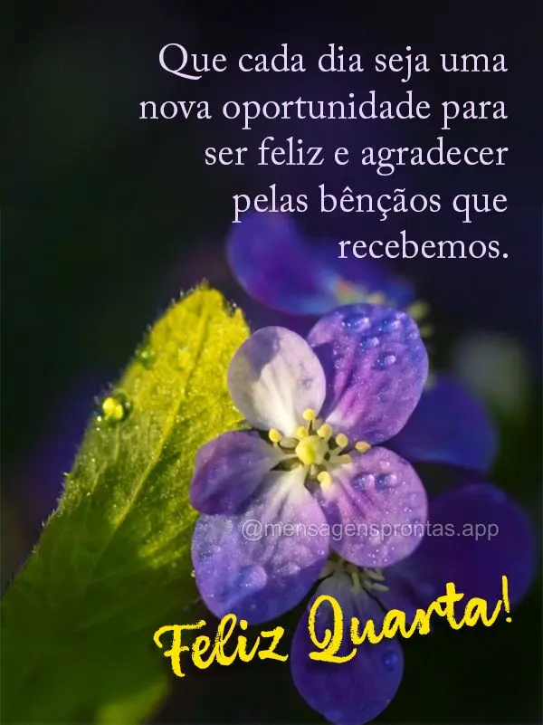 Que cada dia seja uma nova oportunidade para ser feliz e agradecer pelas bênçãos que recebemos. Feliz Quarta!