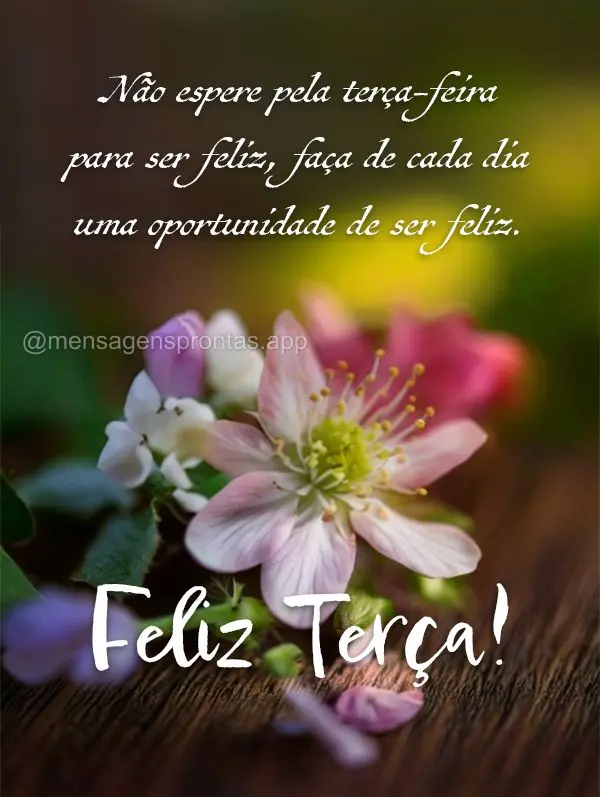 Não espere pela terça-feira para ser feliz, faça de cada dia uma oportunidade de ser feliz. Feliz Terça!