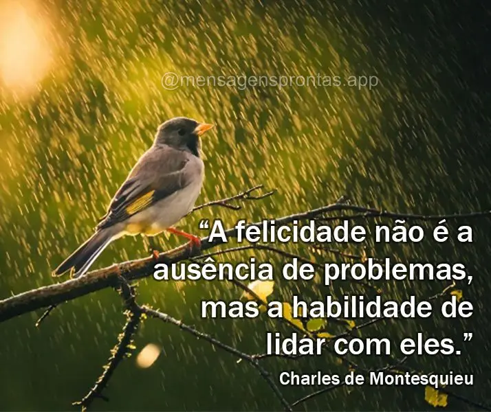"A felicidade não é a ausência de problemas, mas a habilidade de lidar com eles." Charles de Montesquieu	