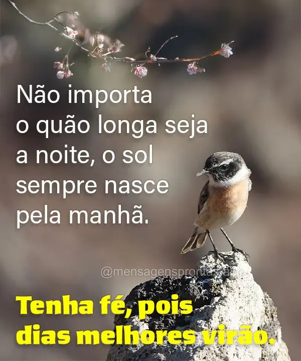"Não importa o quão longa seja a noite, o sol sempre nasce pela manhã. Tenha fé, pois dias melhores virão."