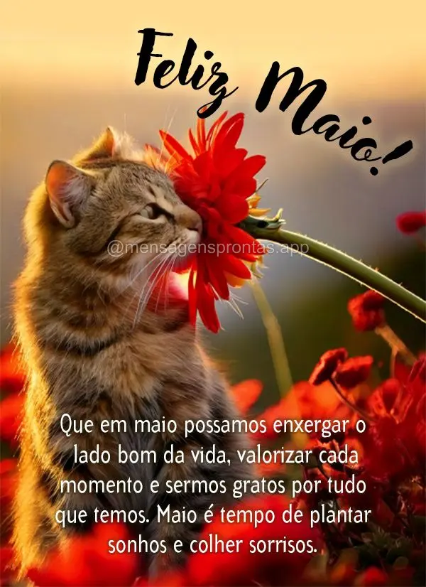 Que em maio possamos enxergar o lado bom da vida, valorizar cada momento e sermos gratos por tudo que temos. Maio é tempo de plantar sonhos e colher sor...