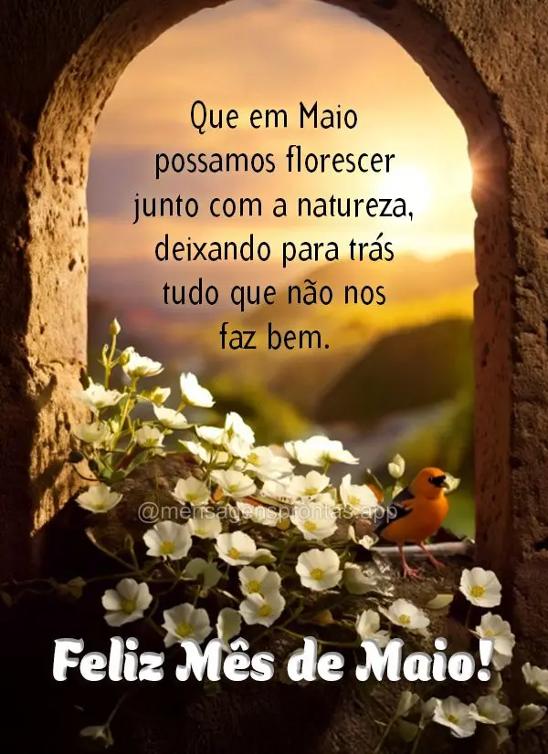 Que em maio possamos florescer junto com a natureza, deixando para trás tudo que não nos faz bem. Feliz Mês de Maio!