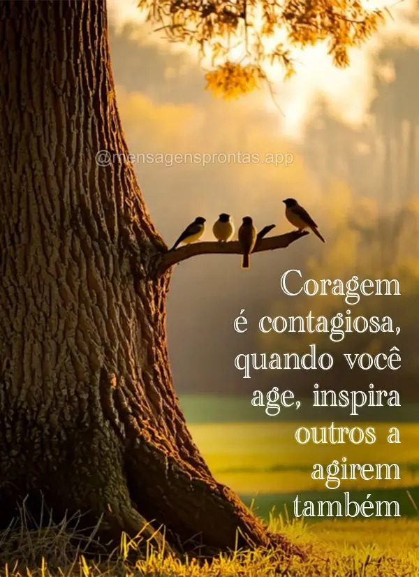 Coragem é contagiosa, quando você age, inspira outros a agirem também.