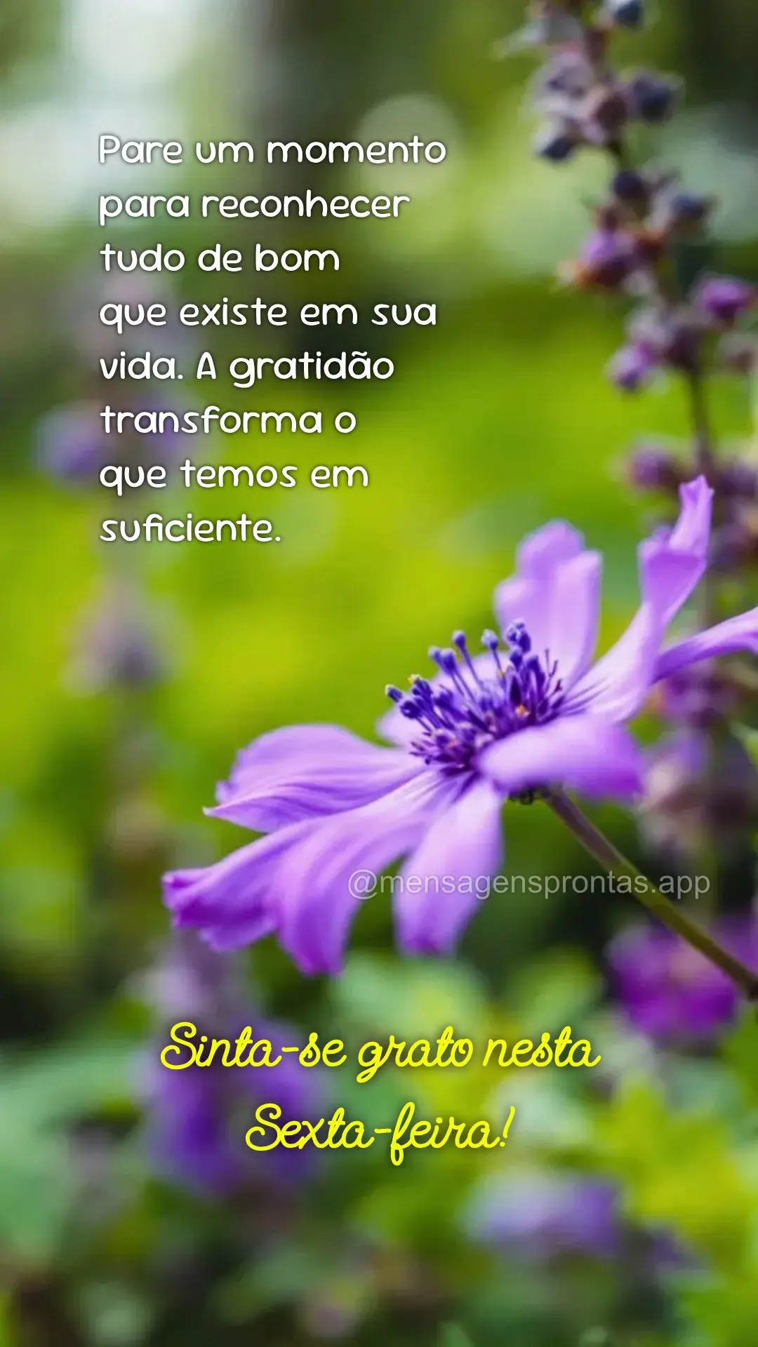 Pare um momento para reconhecer tudo de bom 
que existe em sua 
vida. A gratidão transforma o 
que temos em suficiente. Sinta-se grato nesta Sexta-fe...