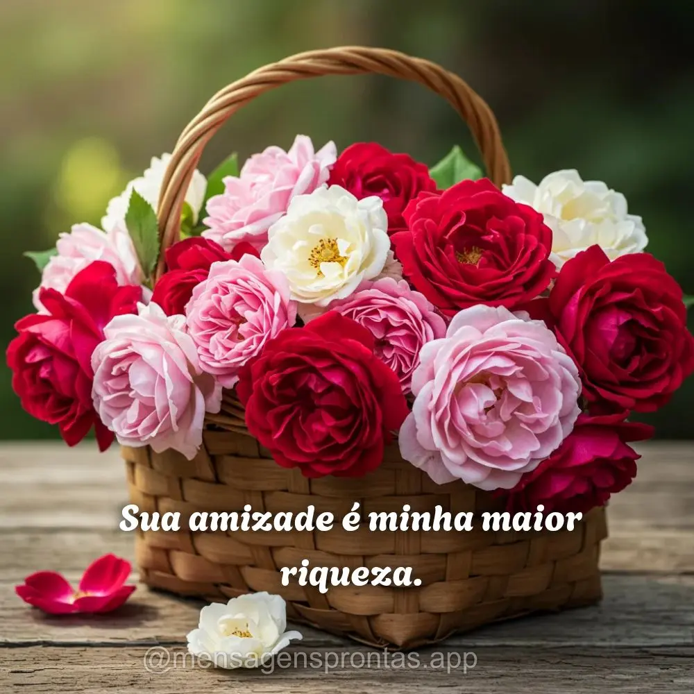 Sua amizade é minha maior riqueza.