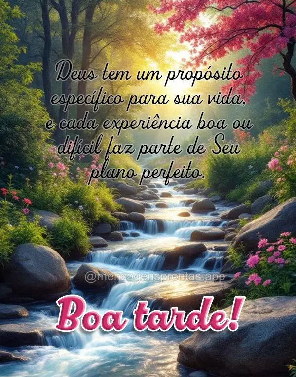 Deus tem um propósito específico para sua vida, e cada experiência - boa ou difícil - faz parte de Seu plano perfeito. Boa tarde!