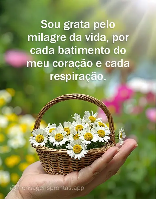 Sou grata pelo milagre da vida, por cada batimento do meu coração e cada respiração.