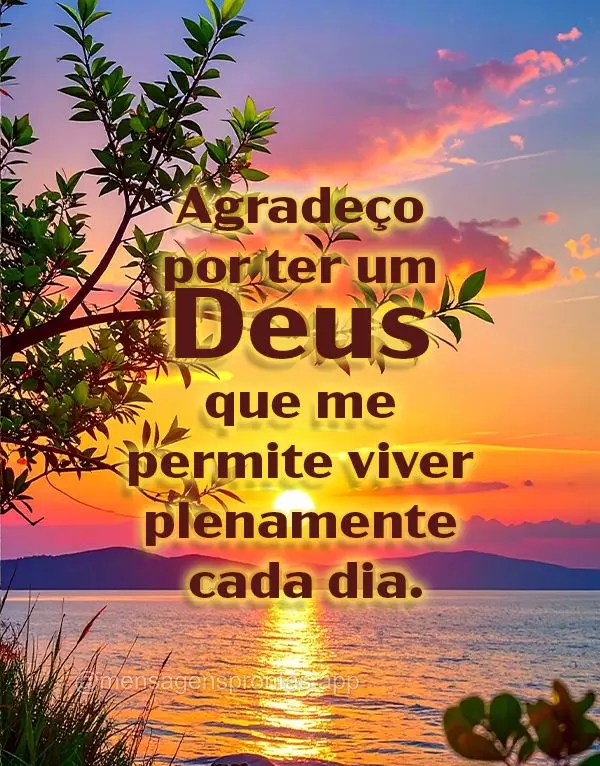 Agradeço por ter um corpo saudável que me permite viver plenamente cada dia.