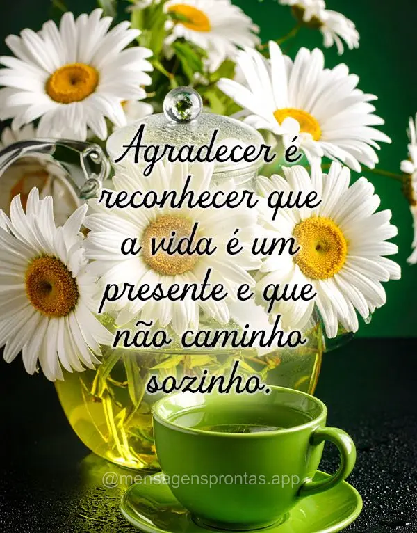 Agradecer é reconhecer que a vida é um presente e que não caminho sozinho.