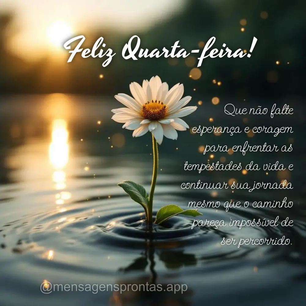 Que não falte esperança e coragem para enfrentar as tempestades da vida e continuar sua jornada mesmo que o caminho pareça impossível de ser percorri...