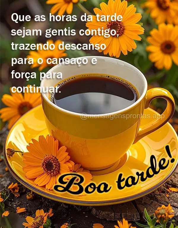 Que as horas da tarde sejam gentis contigo, trazendo descanso para o cansaço e força para continuar.  Boa tarde!