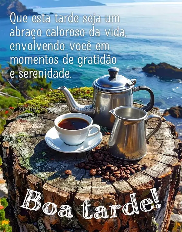 Que esta tarde seja um abraço caloroso da vida, envolvendo você em momentos de gratidão e serenidade. Boa tarde!