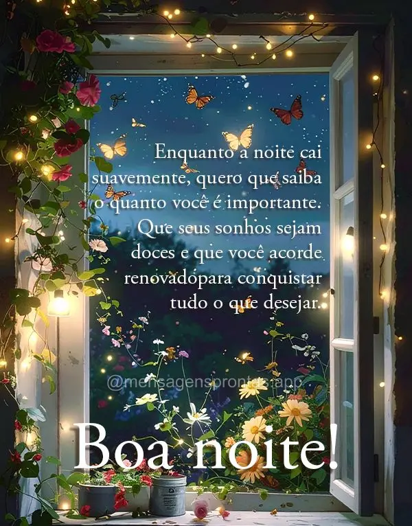 Enquanto a noite cai suavemente, quero que saiba o quanto você é importante. Que seus sonhos sejam doces e que você acorde renovado para conquistar tu...