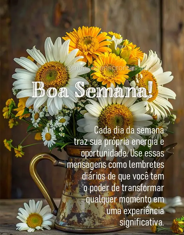 Cada dia da semana traz sua própria energia e oportunidade. Use essas mensagens como lembretes diários de que você tem o poder de transformar qualquer...