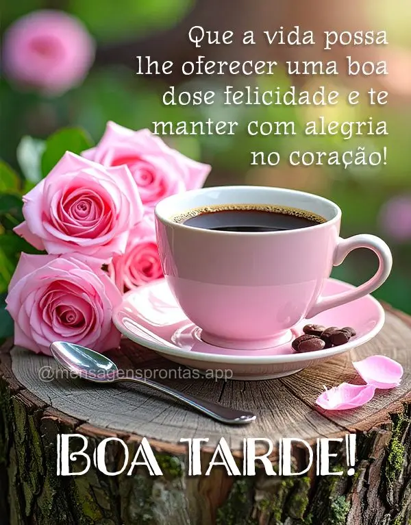 Que a vida possa lhe oferecer uma boa dose felicidade e te manter com alegria no coração! Boa tarde!