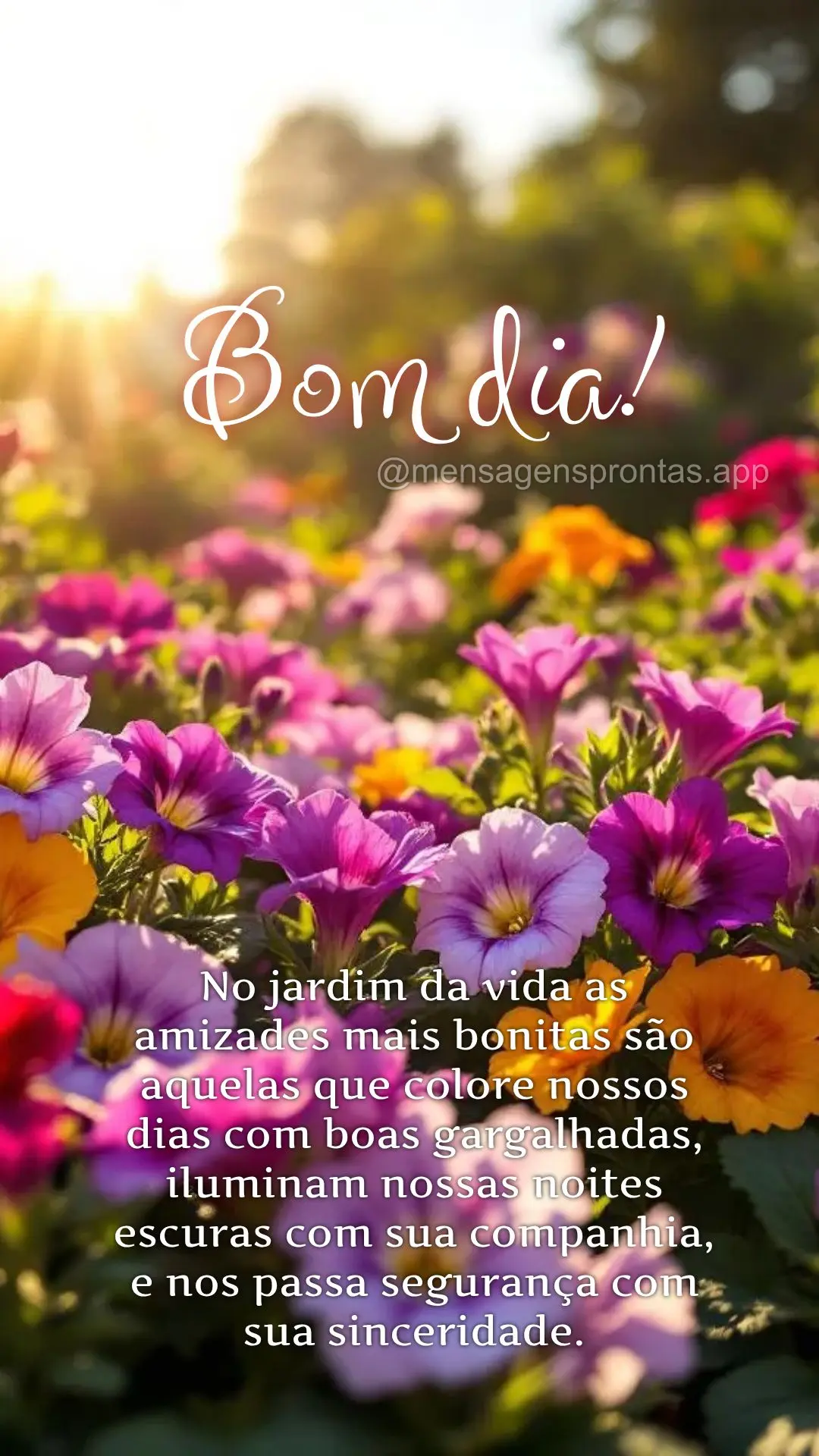 No jardim da vida as amizades mais bonitas são aquelas que colore nossos dias com boas gargalhadas, iluminam nossas noites escuras com sua companhia, e ...