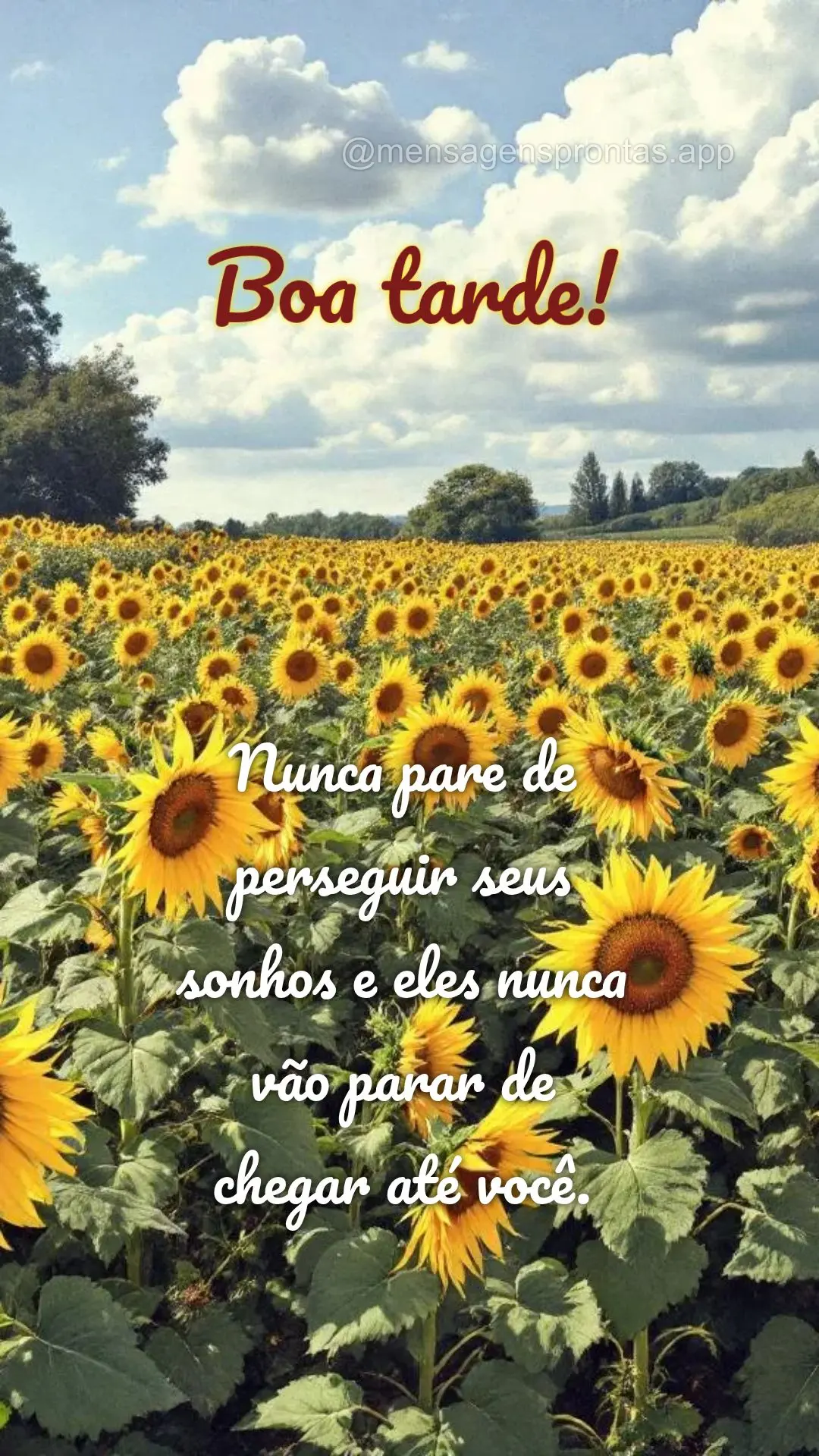 Nunca pare de perseguir seus sonhos e eles nunca vão parar de chegar até você. 
 Boa tarde!