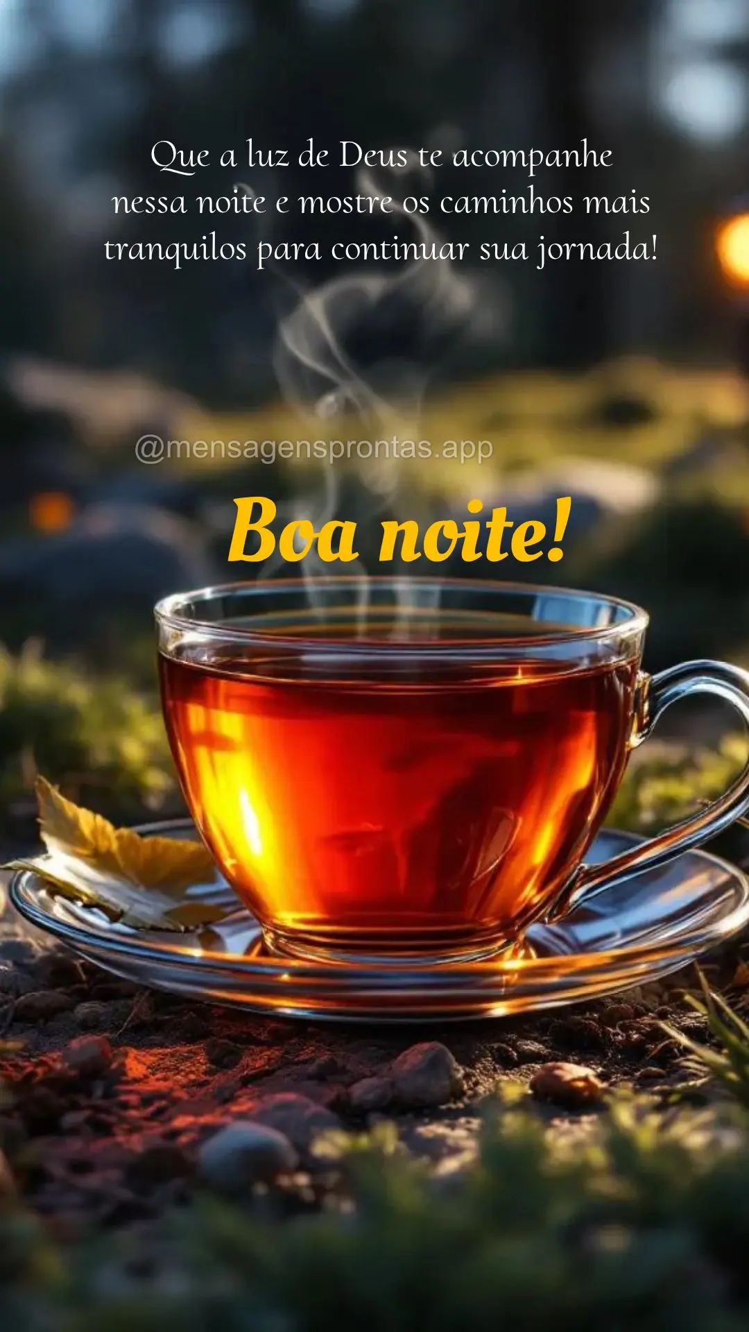 Que a luz de Deus te acompanhe 
nessa noite e mostre os caminhos mais tranquilos para continuar sua jornada! Boa noite!