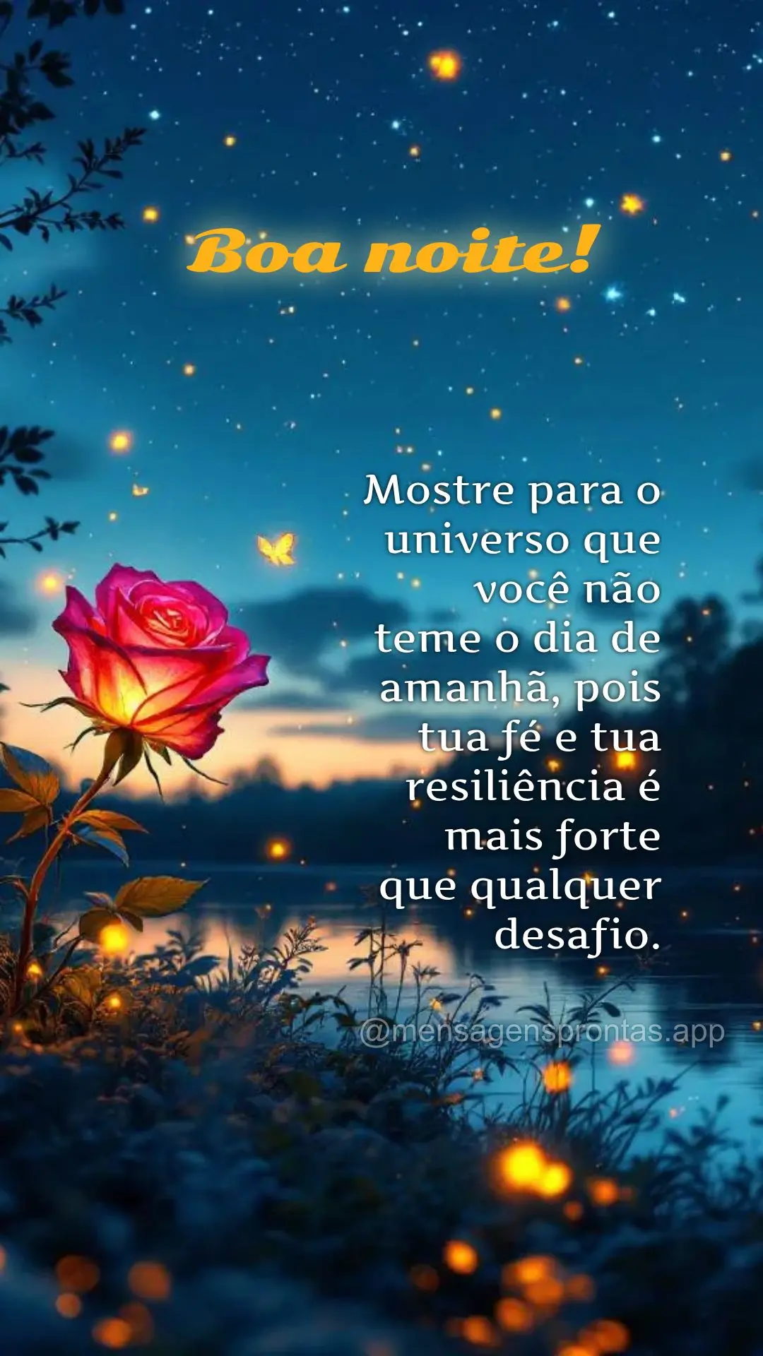 Mostre para o universo que você não teme o dia de amanhã, pois tua fé e tua resiliência é mais forte que qualquer desafio.  Boa noite!