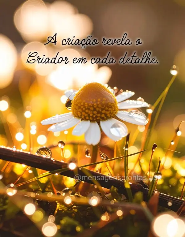 A criação revela o Criador em cada detalhe.