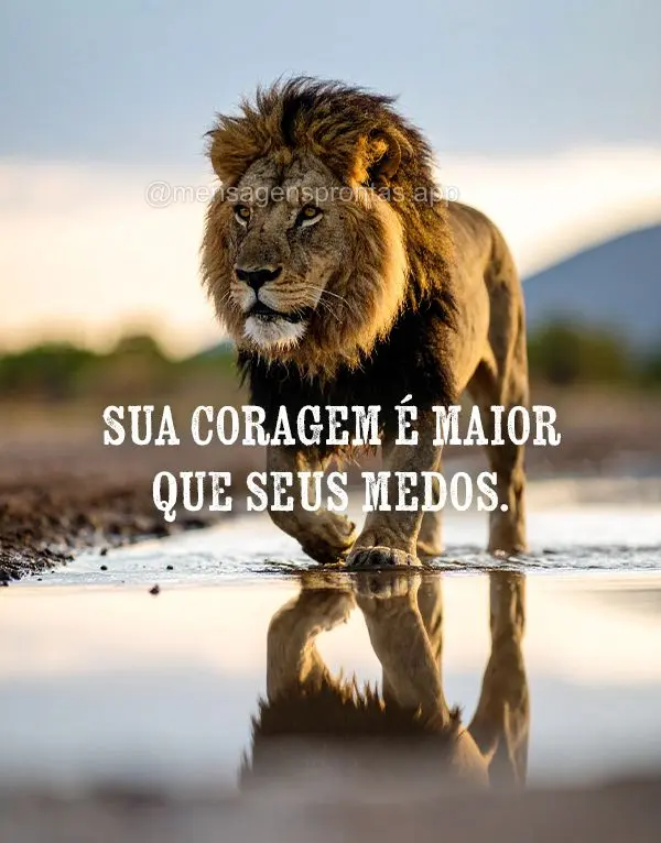 Sua coragem é maior que seus medos.