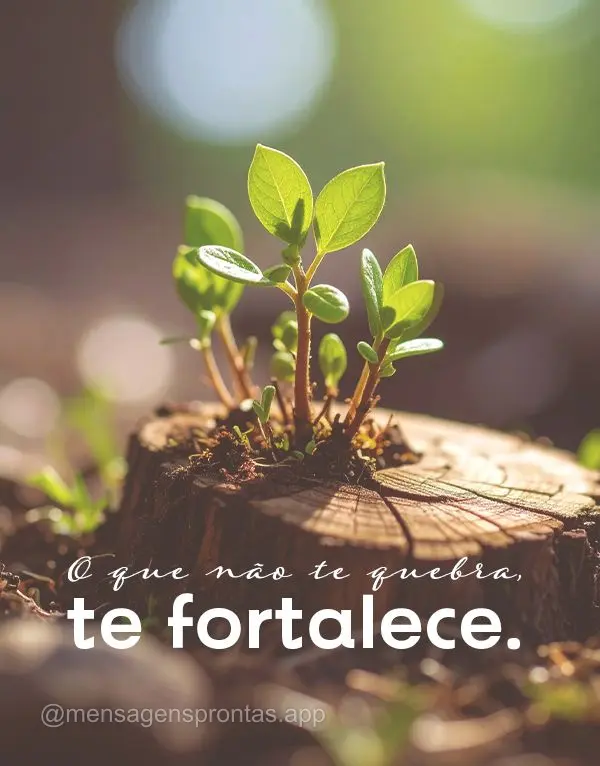 O que não te quebra, te fortalece.