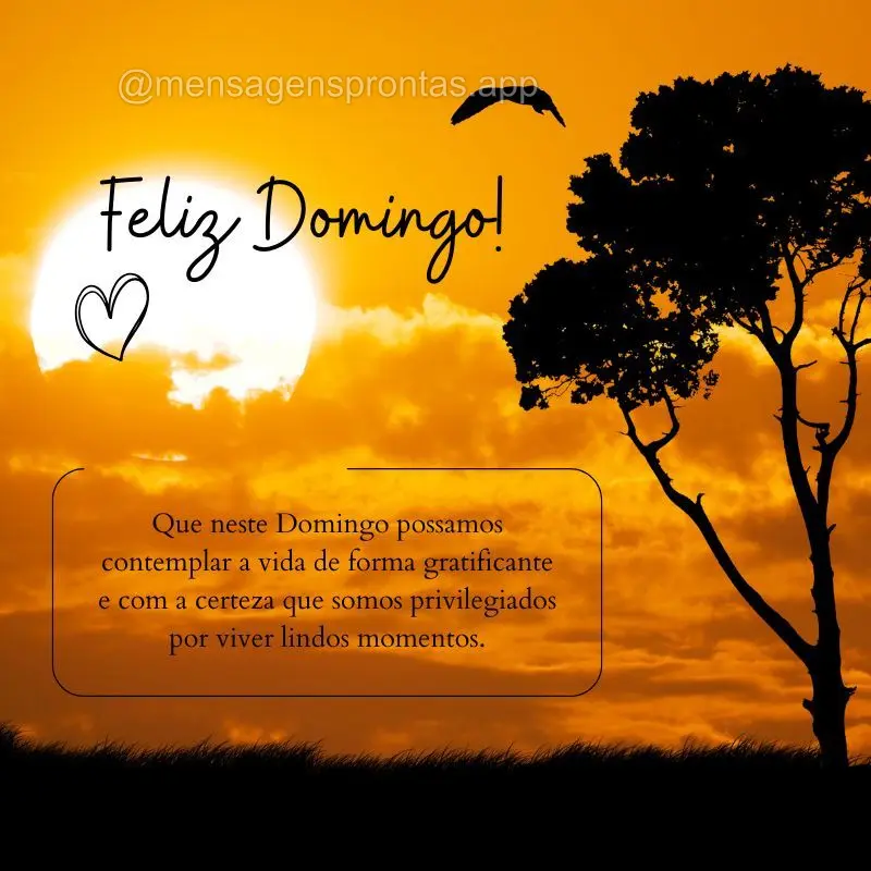 Que neste Domingo possamos contemplar a vida de forma gratificante e com a certeza que somos privilegiados por viver lindos momentos. Feliz Domingo!