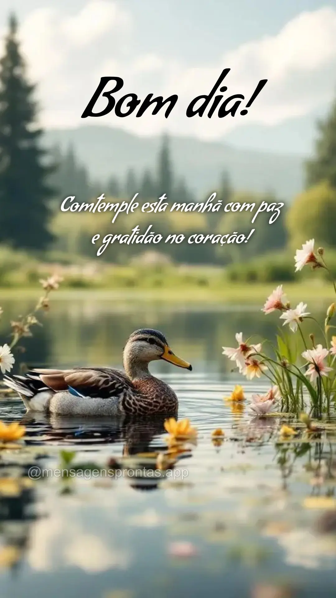 Comtemple esta manhã com paz 
e gratidão no coração! Bom dia!