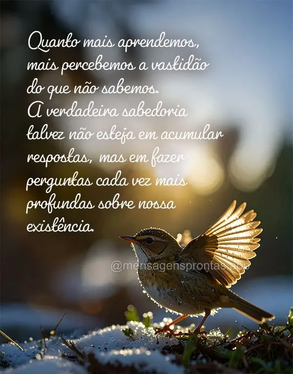 Quanto mais aprendemos, mais percebemos a vastidão do que não sabemos. A verdadeira sabedoria talvez não esteja em acumular respostas, mas em fazer pe...