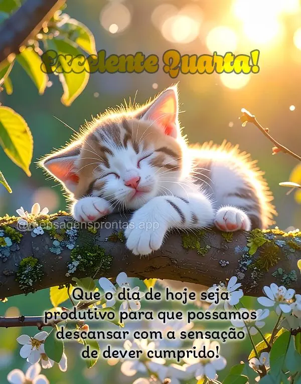 Que o dia de hoje seja produtivo para que possamos descansar com a sensação de dever cumprido! Excelente Quarta!